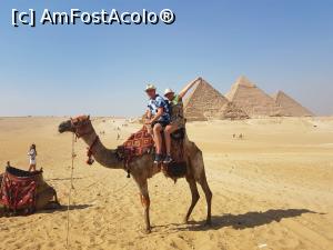 [P05]  -- <small>// FĂRĂ DESCRIERE</small> » foto by Claudiu53
 - 
<span class="allrVoted glyphicon glyphicon-heart hidden" id="av1102760"></span>
<a class="m-l-10 hidden" id="sv1102760" onclick="voting_Foto_DelVot(,1102760,13874)" role="button">șterge vot <span class="glyphicon glyphicon-remove"></span></a>
<a id="v91102760" class=" c-red"  onclick="voting_Foto_SetVot(1102760)" role="button"><span class="glyphicon glyphicon-heart-empty"></span> <b>LIKE</b> = Votează poza</a> <img class="hidden"  id="f1102760W9" src="/imagini/loader.gif" border="0" /><span class="AjErrMes hidden" id="e1102760ErM"></span>