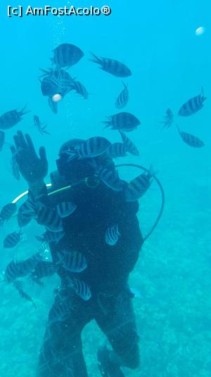 [P07]  -- <small>// FĂRĂ DESCRIERE</small> » foto by Claudiu53
 - 
<span class="allrVoted glyphicon glyphicon-heart hidden" id="av1102762"></span>
<a class="m-l-10 hidden" id="sv1102762" onclick="voting_Foto_DelVot(,1102762,13874)" role="button">șterge vot <span class="glyphicon glyphicon-remove"></span></a>
<a id="v91102762" class=" c-red"  onclick="voting_Foto_SetVot(1102762)" role="button"><span class="glyphicon glyphicon-heart-empty"></span> <b>LIKE</b> = Votează poza</a> <img class="hidden"  id="f1102762W9" src="/imagini/loader.gif" border="0" /><span class="AjErrMes hidden" id="e1102762ErM"></span>