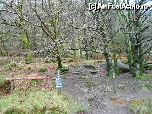 [P10] Wicklow Mountains National Park  sau Parcul Naţional Glendalough, poteca prin padure. » foto by Diaura*
 - 
<span class="allrVoted glyphicon glyphicon-heart hidden" id="av411631"></span>
<a class="m-l-10 hidden" id="sv411631" onclick="voting_Foto_DelVot(,411631,13899)" role="button">șterge vot <span class="glyphicon glyphicon-remove"></span></a>
<a id="v9411631" class=" c-red"  onclick="voting_Foto_SetVot(411631)" role="button"><span class="glyphicon glyphicon-heart-empty"></span> <b>LIKE</b> = Votează poza</a> <img class="hidden"  id="f411631W9" src="/imagini/loader.gif" border="0" /><span class="AjErrMes hidden" id="e411631ErM"></span>