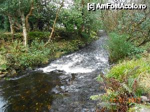 [P13] Parcul Naţional Glendalough, Raul Glendasan vazut in alt loc.  » foto by Diaura*
 - 
<span class="allrVoted glyphicon glyphicon-heart hidden" id="av411634"></span>
<a class="m-l-10 hidden" id="sv411634" onclick="voting_Foto_DelVot(,411634,13899)" role="button">șterge vot <span class="glyphicon glyphicon-remove"></span></a>
<a id="v9411634" class=" c-red"  onclick="voting_Foto_SetVot(411634)" role="button"><span class="glyphicon glyphicon-heart-empty"></span> <b>LIKE</b> = Votează poza</a> <img class="hidden"  id="f411634W9" src="/imagini/loader.gif" border="0" /><span class="AjErrMes hidden" id="e411634ErM"></span>
