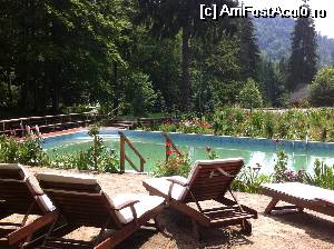 [P05] Piscina de langa padure » foto by Daniella_N
 - 
<span class="allrVoted glyphicon glyphicon-heart hidden" id="av530994"></span>
<a class="m-l-10 hidden" id="sv530994" onclick="voting_Foto_DelVot(,530994,13905)" role="button">șterge vot <span class="glyphicon glyphicon-remove"></span></a>
<a id="v9530994" class=" c-red"  onclick="voting_Foto_SetVot(530994)" role="button"><span class="glyphicon glyphicon-heart-empty"></span> <b>LIKE</b> = Votează poza</a> <img class="hidden"  id="f530994W9" src="/imagini/loader.gif" border="0" /><span class="AjErrMes hidden" id="e530994ErM"></span>