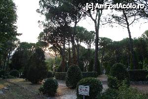 [P50] Parcul de dafini- Brisighella » foto by timis
 - 
<span class="allrVoted glyphicon glyphicon-heart hidden" id="av411991"></span>
<a class="m-l-10 hidden" id="sv411991" onclick="voting_Foto_DelVot(,411991,13912)" role="button">șterge vot <span class="glyphicon glyphicon-remove"></span></a>
<a id="v9411991" class=" c-red"  onclick="voting_Foto_SetVot(411991)" role="button"><span class="glyphicon glyphicon-heart-empty"></span> <b>LIKE</b> = Votează poza</a> <img class="hidden"  id="f411991W9" src="/imagini/loader.gif" border="0" /><span class="AjErrMes hidden" id="e411991ErM"></span>