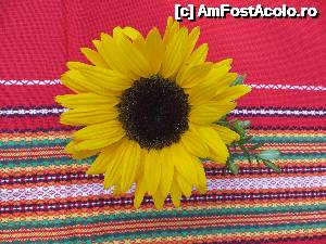 [P19] Aranjament floral pe mesele din gradina Hanului Arbanashki » foto by valyionsc
 - 
<span class="allrVoted glyphicon glyphicon-heart hidden" id="av496278"></span>
<a class="m-l-10 hidden" id="sv496278" onclick="voting_Foto_DelVot(,496278,13942)" role="button">șterge vot <span class="glyphicon glyphicon-remove"></span></a>
<a id="v9496278" class=" c-red"  onclick="voting_Foto_SetVot(496278)" role="button"><span class="glyphicon glyphicon-heart-empty"></span> <b>LIKE</b> = Votează poza</a> <img class="hidden"  id="f496278W9" src="/imagini/loader.gif" border="0" /><span class="AjErrMes hidden" id="e496278ErM"></span>