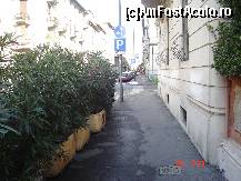 [P04] PLantele din fata semnaleaza hotelul » foto by rodica1016
 - 
<span class="allrVoted glyphicon glyphicon-heart hidden" id="av413195"></span>
<a class="m-l-10 hidden" id="sv413195" onclick="voting_Foto_DelVot(,413195,13952)" role="button">șterge vot <span class="glyphicon glyphicon-remove"></span></a>
<a id="v9413195" class=" c-red"  onclick="voting_Foto_SetVot(413195)" role="button"><span class="glyphicon glyphicon-heart-empty"></span> <b>LIKE</b> = Votează poza</a> <img class="hidden"  id="f413195W9" src="/imagini/loader.gif" border="0" /><span class="AjErrMes hidden" id="e413195ErM"></span>