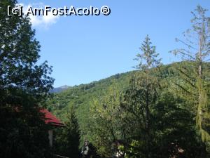 [P27] Vedere din balcon asupra împrejurimilor. Ne-am simţit bine la Motelul Cozia şi sperăm să revenim acolo!  » foto by Floryn81
 - 
<span class="allrVoted glyphicon glyphicon-heart hidden" id="av925940"></span>
<a class="m-l-10 hidden" id="sv925940" onclick="voting_Foto_DelVot(,925940,13957)" role="button">șterge vot <span class="glyphicon glyphicon-remove"></span></a>
<a id="v9925940" class=" c-red"  onclick="voting_Foto_SetVot(925940)" role="button"><span class="glyphicon glyphicon-heart-empty"></span> <b>LIKE</b> = Votează poza</a> <img class="hidden"  id="f925940W9" src="/imagini/loader.gif" border="0" /><span class="AjErrMes hidden" id="e925940ErM"></span>