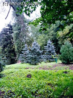 [P04] Pe aleile parcului. » foto by Rodel
 - 
<span class="allrVoted glyphicon glyphicon-heart hidden" id="av1343211"></span>
<a class="m-l-10 hidden" id="sv1343211" onclick="voting_Foto_DelVot(,1343211,13964)" role="button">șterge vot <span class="glyphicon glyphicon-remove"></span></a>
<a id="v91343211" class=" c-red"  onclick="voting_Foto_SetVot(1343211)" role="button"><span class="glyphicon glyphicon-heart-empty"></span> <b>LIKE</b> = Votează poza</a> <img class="hidden"  id="f1343211W9" src="/imagini/loader.gif" border="0" /><span class="AjErrMes hidden" id="e1343211ErM"></span>