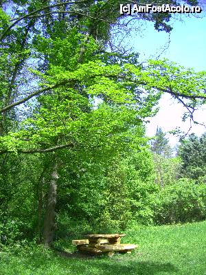 [P16] Parcul dendrologic din Simeria, judeţul Hunedoara » foto by krondia*
 - 
<span class="allrVoted glyphicon glyphicon-heart hidden" id="av507213"></span>
<a class="m-l-10 hidden" id="sv507213" onclick="voting_Foto_DelVot(,507213,13964)" role="button">șterge vot <span class="glyphicon glyphicon-remove"></span></a>
<a id="v9507213" class=" c-red"  onclick="voting_Foto_SetVot(507213)" role="button"><span class="glyphicon glyphicon-heart-empty"></span> <b>LIKE</b> = Votează poza</a> <img class="hidden"  id="f507213W9" src="/imagini/loader.gif" border="0" /><span class="AjErrMes hidden" id="e507213ErM"></span>