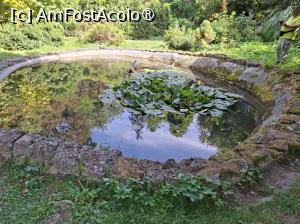 [P11]  -- <small>// FĂRĂ DESCRIERE</small> » foto by Carmen Ion
 - 
<span class="allrVoted glyphicon glyphicon-heart hidden" id="av1511410"></span>
<a class="m-l-10 hidden" id="sv1511410" onclick="voting_Foto_DelVot(,1511410,13964)" role="button">șterge vot <span class="glyphicon glyphicon-remove"></span></a>
<a id="v91511410" class=" c-red"  onclick="voting_Foto_SetVot(1511410)" role="button"><span class="glyphicon glyphicon-heart-empty"></span> <b>LIKE</b> = Votează poza</a> <img class="hidden"  id="f1511410W9" src="/imagini/loader.gif" border="0" /><span class="AjErrMes hidden" id="e1511410ErM"></span>