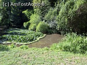 [P12]  -- <small>// FĂRĂ DESCRIERE</small> » foto by Carmen Ion
 - 
<span class="allrVoted glyphicon glyphicon-heart hidden" id="av1511411"></span>
<a class="m-l-10 hidden" id="sv1511411" onclick="voting_Foto_DelVot(,1511411,13964)" role="button">șterge vot <span class="glyphicon glyphicon-remove"></span></a>
<a id="v91511411" class=" c-red"  onclick="voting_Foto_SetVot(1511411)" role="button"><span class="glyphicon glyphicon-heart-empty"></span> <b>LIKE</b> = Votează poza</a> <img class="hidden"  id="f1511411W9" src="/imagini/loader.gif" border="0" /><span class="AjErrMes hidden" id="e1511411ErM"></span>