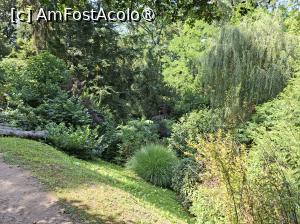 [P08] Parcul dendrologic (Arboretum) din Simeria » foto by Carmen Ion
 - 
<span class="allrVoted glyphicon glyphicon-heart hidden" id="av1511407"></span>
<a class="m-l-10 hidden" id="sv1511407" onclick="voting_Foto_DelVot(,1511407,13964)" role="button">șterge vot <span class="glyphicon glyphicon-remove"></span></a>
<a id="v91511407" class=" c-red"  onclick="voting_Foto_SetVot(1511407)" role="button"><span class="glyphicon glyphicon-heart-empty"></span> <b>LIKE</b> = Votează poza</a> <img class="hidden"  id="f1511407W9" src="/imagini/loader.gif" border="0" /><span class="AjErrMes hidden" id="e1511407ErM"></span>