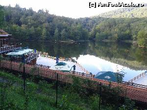 [P02] lacul ursu pe-nserat » foto by danadin bacau
 - 
<span class="allrVoted glyphicon glyphicon-heart hidden" id="av551844"></span>
<a class="m-l-10 hidden" id="sv551844" onclick="voting_Foto_DelVot(,551844,13984)" role="button">șterge vot <span class="glyphicon glyphicon-remove"></span></a>
<a id="v9551844" class=" c-red"  onclick="voting_Foto_SetVot(551844)" role="button"><span class="glyphicon glyphicon-heart-empty"></span> <b>LIKE</b> = Votează poza</a> <img class="hidden"  id="f551844W9" src="/imagini/loader.gif" border="0" /><span class="AjErrMes hidden" id="e551844ErM"></span>