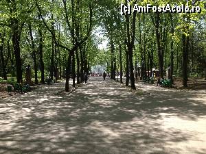[P06]  -- <small>// FĂRĂ DESCRIERE</small> » foto by expert
 - 
<span class="allrVoted glyphicon glyphicon-heart hidden" id="av414991"></span>
<a class="m-l-10 hidden" id="sv414991" onclick="voting_Foto_DelVot(,414991,14006)" role="button">șterge vot <span class="glyphicon glyphicon-remove"></span></a>
<a id="v9414991" class=" c-red"  onclick="voting_Foto_SetVot(414991)" role="button"><span class="glyphicon glyphicon-heart-empty"></span> <b>LIKE</b> = Votează poza</a> <img class="hidden"  id="f414991W9" src="/imagini/loader.gif" border="0" /><span class="AjErrMes hidden" id="e414991ErM"></span>