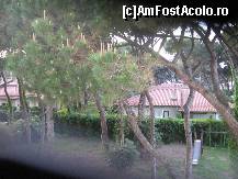 [P22] Pinii din fata balconului in ceata din zori » foto by Michi
 - 
<span class="allrVoted glyphicon glyphicon-heart hidden" id="av416169"></span>
<a class="m-l-10 hidden" id="sv416169" onclick="voting_Foto_DelVot(,416169,14039)" role="button">șterge vot <span class="glyphicon glyphicon-remove"></span></a>
<a id="v9416169" class=" c-red"  onclick="voting_Foto_SetVot(416169)" role="button"><span class="glyphicon glyphicon-heart-empty"></span> <b>LIKE</b> = Votează poza</a> <img class="hidden"  id="f416169W9" src="/imagini/loader.gif" border="0" /><span class="AjErrMes hidden" id="e416169ErM"></span>