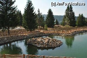 [P09] Lacul din curtea pensiunii » foto by Gabise
 - 
<span class="allrVoted glyphicon glyphicon-heart hidden" id="av416257"></span>
<a class="m-l-10 hidden" id="sv416257" onclick="voting_Foto_DelVot(,416257,14041)" role="button">șterge vot <span class="glyphicon glyphicon-remove"></span></a>
<a id="v9416257" class=" c-red"  onclick="voting_Foto_SetVot(416257)" role="button"><span class="glyphicon glyphicon-heart-empty"></span> <b>LIKE</b> = Votează poza</a> <img class="hidden"  id="f416257W9" src="/imagini/loader.gif" border="0" /><span class="AjErrMes hidden" id="e416257ErM"></span>