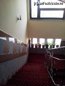 [P12] Pensiunea nu are lift dar sunt doar 2 etaje » foto by mirmicu
 - 
<span class="allrVoted glyphicon glyphicon-heart hidden" id="av416567"></span>
<a class="m-l-10 hidden" id="sv416567" onclick="voting_Foto_DelVot(,416567,14048)" role="button">șterge vot <span class="glyphicon glyphicon-remove"></span></a>
<a id="v9416567" class=" c-red"  onclick="voting_Foto_SetVot(416567)" role="button"><span class="glyphicon glyphicon-heart-empty"></span> <b>LIKE</b> = Votează poza</a> <img class="hidden"  id="f416567W9" src="/imagini/loader.gif" border="0" /><span class="AjErrMes hidden" id="e416567ErM"></span>