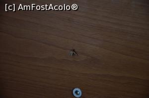 [P02]  -- <small>// FĂRĂ DESCRIERE</small> » foto by Coni FotoMedia
 - 
<span class="allrVoted glyphicon glyphicon-heart hidden" id="av768141"></span>
<a class="m-l-10 hidden" id="sv768141" onclick="voting_Foto_DelVot(,768141,14073)" role="button">șterge vot <span class="glyphicon glyphicon-remove"></span></a>
<a id="v9768141" class=" c-red"  onclick="voting_Foto_SetVot(768141)" role="button"><span class="glyphicon glyphicon-heart-empty"></span> <b>LIKE</b> = Votează poza</a> <img class="hidden"  id="f768141W9" src="/imagini/loader.gif" border="0" /><span class="AjErrMes hidden" id="e768141ErM"></span>