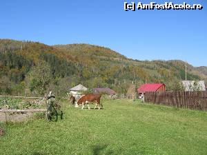 [P06] Producătoare de bio » foto by Michi
 - 
<span class="allrVoted glyphicon glyphicon-heart hidden" id="av566533"></span>
<a class="m-l-10 hidden" id="sv566533" onclick="voting_Foto_DelVot(,566533,14116)" role="button">șterge vot <span class="glyphicon glyphicon-remove"></span></a>
<a id="v9566533" class=" c-red"  onclick="voting_Foto_SetVot(566533)" role="button"><span class="glyphicon glyphicon-heart-empty"></span> <b>LIKE</b> = Votează poza</a> <img class="hidden"  id="f566533W9" src="/imagini/loader.gif" border="0" /><span class="AjErrMes hidden" id="e566533ErM"></span>