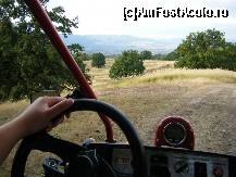 [P15] la plimbare cu buggie » foto by baby eyes
 - 
<span class="allrVoted glyphicon glyphicon-heart hidden" id="av420449"></span>
<a class="m-l-10 hidden" id="sv420449" onclick="voting_Foto_DelVot(,420449,14143)" role="button">șterge vot <span class="glyphicon glyphicon-remove"></span></a>
<a id="v9420449" class=" c-red"  onclick="voting_Foto_SetVot(420449)" role="button"><span class="glyphicon glyphicon-heart-empty"></span> <b>LIKE</b> = Votează poza</a> <img class="hidden"  id="f420449W9" src="/imagini/loader.gif" border="0" /><span class="AjErrMes hidden" id="e420449ErM"></span>