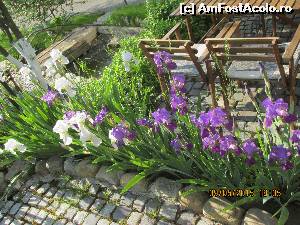 [P11] si sa simti mirosul dulce al stinjeneilor?  » foto by adri-nico
 - 
<span class="allrVoted glyphicon glyphicon-heart hidden" id="av616199"></span>
<a class="m-l-10 hidden" id="sv616199" onclick="voting_Foto_DelVot(,616199,14148)" role="button">șterge vot <span class="glyphicon glyphicon-remove"></span></a>
<a id="v9616199" class=" c-red"  onclick="voting_Foto_SetVot(616199)" role="button"><span class="glyphicon glyphicon-heart-empty"></span> <b>LIKE</b> = Votează poza</a> <img class="hidden"  id="f616199W9" src="/imagini/loader.gif" border="0" /><span class="AjErrMes hidden" id="e616199ErM"></span>