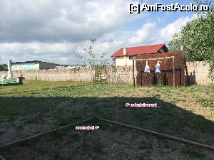 [P06] Playground!  » foto by Nosferatu
 - 
<span class="allrVoted glyphicon glyphicon-heart hidden" id="av531276"></span>
<a class="m-l-10 hidden" id="sv531276" onclick="voting_Foto_DelVot(,531276,14152)" role="button">șterge vot <span class="glyphicon glyphicon-remove"></span></a>
<a id="v9531276" class=" c-red"  onclick="voting_Foto_SetVot(531276)" role="button"><span class="glyphicon glyphicon-heart-empty"></span> <b>LIKE</b> = Votează poza</a> <img class="hidden"  id="f531276W9" src="/imagini/loader.gif" border="0" /><span class="AjErrMes hidden" id="e531276ErM"></span>