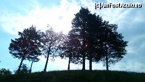 [P14]  -- <small>// FĂRĂ DESCRIERE</small> » foto by noi doi
 - 
<span class="allrVoted glyphicon glyphicon-heart hidden" id="av654937"></span>
<a class="m-l-10 hidden" id="sv654937" onclick="voting_Foto_DelVot(,654937,14154)" role="button">șterge vot <span class="glyphicon glyphicon-remove"></span></a>
<a id="v9654937" class=" c-red"  onclick="voting_Foto_SetVot(654937)" role="button"><span class="glyphicon glyphicon-heart-empty"></span> <b>LIKE</b> = Votează poza</a> <img class="hidden"  id="f654937W9" src="/imagini/loader.gif" border="0" /><span class="AjErrMes hidden" id="e654937ErM"></span>