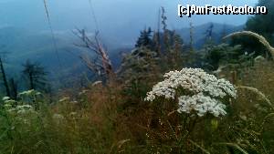 [P22]  -- <small>// FĂRĂ DESCRIERE</small> » foto by noi doi
 - 
<span class="allrVoted glyphicon glyphicon-heart hidden" id="av654945"></span>
<a class="m-l-10 hidden" id="sv654945" onclick="voting_Foto_DelVot(,654945,14154)" role="button">șterge vot <span class="glyphicon glyphicon-remove"></span></a>
<a id="v9654945" class=" c-red"  onclick="voting_Foto_SetVot(654945)" role="button"><span class="glyphicon glyphicon-heart-empty"></span> <b>LIKE</b> = Votează poza</a> <img class="hidden"  id="f654945W9" src="/imagini/loader.gif" border="0" /><span class="AjErrMes hidden" id="e654945ErM"></span>