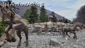 [P04] Caii din Poiana lui Căliman » foto by vlado2
 - 
<span class="allrVoted glyphicon glyphicon-heart hidden" id="av1523697"></span>
<a class="m-l-10 hidden" id="sv1523697" onclick="voting_Foto_DelVot(,1523697,14154)" role="button">șterge vot <span class="glyphicon glyphicon-remove"></span></a>
<a id="v91523697" class=" c-red"  onclick="voting_Foto_SetVot(1523697)" role="button"><span class="glyphicon glyphicon-heart-empty"></span> <b>LIKE</b> = Votează poza</a> <img class="hidden"  id="f1523697W9" src="/imagini/loader.gif" border="0" /><span class="AjErrMes hidden" id="e1523697ErM"></span>