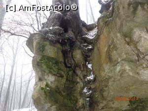 [P34] privelisti frumoase pe alea balneara » foto by nrs †
 - 
<span class="allrVoted glyphicon glyphicon-heart hidden" id="av871395"></span>
<a class="m-l-10 hidden" id="sv871395" onclick="voting_Foto_DelVot(,871395,14154)" role="button">șterge vot <span class="glyphicon glyphicon-remove"></span></a>
<a id="v9871395" class=" c-red"  onclick="voting_Foto_SetVot(871395)" role="button"><span class="glyphicon glyphicon-heart-empty"></span> <b>LIKE</b> = Votează poza</a> <img class="hidden"  id="f871395W9" src="/imagini/loader.gif" border="0" /><span class="AjErrMes hidden" id="e871395ErM"></span>