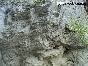 [P14] Cãciulata – Staţiune deloc sau foarte puţin promovatã. Mergem in Cheile Bistritei dupa vizitarea Manastirii Bistrita.  » foto by vega06
 - 
<span class="allrVoted glyphicon glyphicon-heart hidden" id="av604984"></span>
<a class="m-l-10 hidden" id="sv604984" onclick="voting_Foto_DelVot(,604984,14154)" role="button">șterge vot <span class="glyphicon glyphicon-remove"></span></a>
<a id="v9604984" class=" c-red"  onclick="voting_Foto_SetVot(604984)" role="button"><span class="glyphicon glyphicon-heart-empty"></span> <b>LIKE</b> = Votează poza</a> <img class="hidden"  id="f604984W9" src="/imagini/loader.gif" border="0" /><span class="AjErrMes hidden" id="e604984ErM"></span>