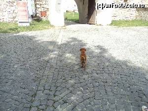 [P35] Cãciulata – Staţiune deloc sau foarte puţin promovatã. Am ajuns la Manastirea Hurezi. Suntem in prima incinta si ne apropiem de a doua, cea principala.  » foto by vega06
 - 
<span class="allrVoted glyphicon glyphicon-heart hidden" id="av605005"></span>
<a class="m-l-10 hidden" id="sv605005" onclick="voting_Foto_DelVot(,605005,14154)" role="button">șterge vot <span class="glyphicon glyphicon-remove"></span></a>
<a id="v9605005" class=" c-red"  onclick="voting_Foto_SetVot(605005)" role="button"><span class="glyphicon glyphicon-heart-empty"></span> <b>LIKE</b> = Votează poza</a> <img class="hidden"  id="f605005W9" src="/imagini/loader.gif" border="0" /><span class="AjErrMes hidden" id="e605005ErM"></span>