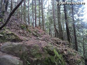 [P09] Cãciulata – Staţiune deloc sau foarte puţin promovatã. Mergem in Cheile Bistritei dupa vizitarea Manastirii Bistrita.  » foto by vega06
 - 
<span class="allrVoted glyphicon glyphicon-heart hidden" id="av604979"></span>
<a class="m-l-10 hidden" id="sv604979" onclick="voting_Foto_DelVot(,604979,14154)" role="button">șterge vot <span class="glyphicon glyphicon-remove"></span></a>
<a id="v9604979" class=" c-red"  onclick="voting_Foto_SetVot(604979)" role="button"><span class="glyphicon glyphicon-heart-empty"></span> <b>LIKE</b> = Votează poza</a> <img class="hidden"  id="f604979W9" src="/imagini/loader.gif" border="0" /><span class="AjErrMes hidden" id="e604979ErM"></span>