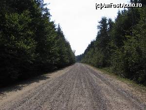 [P01] Începutul drumului forestier către Mănăstirea Sihăstria Voronei; după o distanță se mai îngustează puțin.  » foto by tata123 🔱
 - 
<span class="allrVoted glyphicon glyphicon-heart hidden" id="av586438"></span>
<a class="m-l-10 hidden" id="sv586438" onclick="voting_Foto_DelVot(,586438,14160)" role="button">șterge vot <span class="glyphicon glyphicon-remove"></span></a>
<a id="v9586438" class=" c-red"  onclick="voting_Foto_SetVot(586438)" role="button"><span class="glyphicon glyphicon-heart-empty"></span> <b>LIKE</b> = Votează poza</a> <img class="hidden"  id="f586438W9" src="/imagini/loader.gif" border="0" /><span class="AjErrMes hidden" id="e586438ErM"></span>