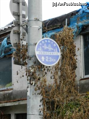 [P29] Aveam de mers pe jos vreo 2,5 km, pana la poduri. Sunt indicatoare.  » foto by TraianS
 - 
<span class="allrVoted glyphicon glyphicon-heart hidden" id="av421067"></span>
<a class="m-l-10 hidden" id="sv421067" onclick="voting_Foto_DelVot(,421067,14162)" role="button">șterge vot <span class="glyphicon glyphicon-remove"></span></a>
<a id="v9421067" class=" c-red"  onclick="voting_Foto_SetVot(421067)" role="button"><span class="glyphicon glyphicon-heart-empty"></span> <b>LIKE</b> = Votează poza</a> <img class="hidden"  id="f421067W9" src="/imagini/loader.gif" border="0" /><span class="AjErrMes hidden" id="e421067ErM"></span>