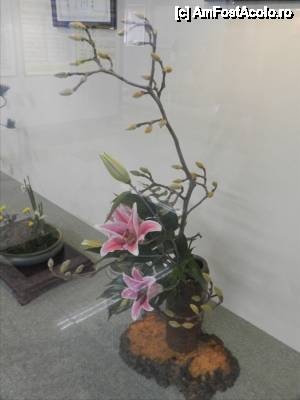 [P38] Aranjament floral 'Ikebana', in gara din Imabari.  » foto by TraianS
 - 
<span class="allrVoted glyphicon glyphicon-heart hidden" id="av421090"></span>
<a class="m-l-10 hidden" id="sv421090" onclick="voting_Foto_DelVot(,421090,14162)" role="button">șterge vot <span class="glyphicon glyphicon-remove"></span></a>
<a id="v9421090" class=" c-red"  onclick="voting_Foto_SetVot(421090)" role="button"><span class="glyphicon glyphicon-heart-empty"></span> <b>LIKE</b> = Votează poza</a> <img class="hidden"  id="f421090W9" src="/imagini/loader.gif" border="0" /><span class="AjErrMes hidden" id="e421090ErM"></span>