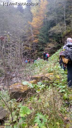 [P03] Dumul prin pădure prin Valea Milea » foto by k-lator
 - 
<span class="allrVoted glyphicon glyphicon-heart hidden" id="av1201206"></span>
<a class="m-l-10 hidden" id="sv1201206" onclick="voting_Foto_DelVot(,1201206,14170)" role="button">șterge vot <span class="glyphicon glyphicon-remove"></span></a>
<a id="v91201206" class=" c-red"  onclick="voting_Foto_SetVot(1201206)" role="button"><span class="glyphicon glyphicon-heart-empty"></span> <b>LIKE</b> = Votează poza</a> <img class="hidden"  id="f1201206W9" src="/imagini/loader.gif" border="0" /><span class="AjErrMes hidden" id="e1201206ErM"></span>