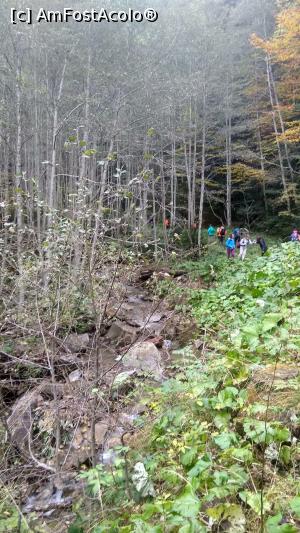 [P04] Dumul prin pădure prin Valea Milea » foto by k-lator
 - 
<span class="allrVoted glyphicon glyphicon-heart hidden" id="av1201207"></span>
<a class="m-l-10 hidden" id="sv1201207" onclick="voting_Foto_DelVot(,1201207,14170)" role="button">șterge vot <span class="glyphicon glyphicon-remove"></span></a>
<a id="v91201207" class=" c-red"  onclick="voting_Foto_SetVot(1201207)" role="button"><span class="glyphicon glyphicon-heart-empty"></span> <b>LIKE</b> = Votează poza</a> <img class="hidden"  id="f1201207W9" src="/imagini/loader.gif" border="0" /><span class="AjErrMes hidden" id="e1201207ErM"></span>