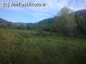 [P11] La marginea pădurii, Buzău » foto by Mioritik
 - 
<span class="allrVoted glyphicon glyphicon-heart hidden" id="av1305927"></span>
<a class="m-l-10 hidden" id="sv1305927" onclick="voting_Foto_DelVot(,1305927,14170)" role="button">șterge vot <span class="glyphicon glyphicon-remove"></span></a>
<a id="v91305927" class=" c-red"  onclick="voting_Foto_SetVot(1305927)" role="button"><span class="glyphicon glyphicon-heart-empty"></span> <b>LIKE</b> = Votează poza</a> <img class="hidden"  id="f1305927W9" src="/imagini/loader.gif" border="0" /><span class="AjErrMes hidden" id="e1305927ErM"></span>