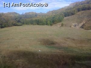 [P02] La marginea pădurii, Buzău » foto by Mioritik
 - 
<span class="allrVoted glyphicon glyphicon-heart hidden" id="av1305918"></span>
<a class="m-l-10 hidden" id="sv1305918" onclick="voting_Foto_DelVot(,1305918,14170)" role="button">șterge vot <span class="glyphicon glyphicon-remove"></span></a>
<a id="v91305918" class=" c-red"  onclick="voting_Foto_SetVot(1305918)" role="button"><span class="glyphicon glyphicon-heart-empty"></span> <b>LIKE</b> = Votează poza</a> <img class="hidden"  id="f1305918W9" src="/imagini/loader.gif" border="0" /><span class="AjErrMes hidden" id="e1305918ErM"></span>