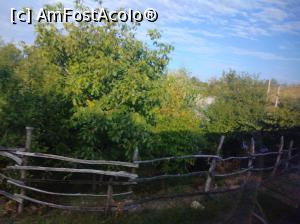 [P20] La marginea pădurii, Buzău » foto by Mioritik
 - 
<span class="allrVoted glyphicon glyphicon-heart hidden" id="av1305957"></span>
<a class="m-l-10 hidden" id="sv1305957" onclick="voting_Foto_DelVot(,1305957,14170)" role="button">șterge vot <span class="glyphicon glyphicon-remove"></span></a>
<a id="v91305957" class=" c-red"  onclick="voting_Foto_SetVot(1305957)" role="button"><span class="glyphicon glyphicon-heart-empty"></span> <b>LIKE</b> = Votează poza</a> <img class="hidden"  id="f1305957W9" src="/imagini/loader.gif" border="0" /><span class="AjErrMes hidden" id="e1305957ErM"></span>