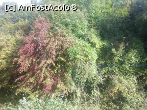 [P21] La marginea pădurii, Buzău » foto by Mioritik
 - 
<span class="allrVoted glyphicon glyphicon-heart hidden" id="av1305958"></span>
<a class="m-l-10 hidden" id="sv1305958" onclick="voting_Foto_DelVot(,1305958,14170)" role="button">șterge vot <span class="glyphicon glyphicon-remove"></span></a>
<a id="v91305958" class=" c-red"  onclick="voting_Foto_SetVot(1305958)" role="button"><span class="glyphicon glyphicon-heart-empty"></span> <b>LIKE</b> = Votează poza</a> <img class="hidden"  id="f1305958W9" src="/imagini/loader.gif" border="0" /><span class="AjErrMes hidden" id="e1305958ErM"></span>