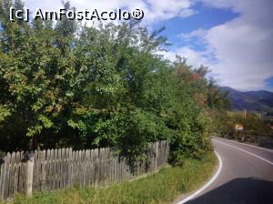 [P23] La marginea pădurii, Buzău » foto by Mioritik
 - 
<span class="allrVoted glyphicon glyphicon-heart hidden" id="av1305960"></span>
<a class="m-l-10 hidden" id="sv1305960" onclick="voting_Foto_DelVot(,1305960,14170)" role="button">șterge vot <span class="glyphicon glyphicon-remove"></span></a>
<a id="v91305960" class=" c-red"  onclick="voting_Foto_SetVot(1305960)" role="button"><span class="glyphicon glyphicon-heart-empty"></span> <b>LIKE</b> = Votează poza</a> <img class="hidden"  id="f1305960W9" src="/imagini/loader.gif" border="0" /><span class="AjErrMes hidden" id="e1305960ErM"></span>