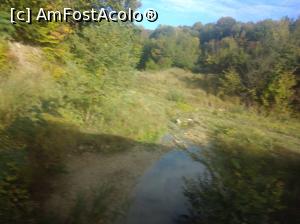 [P24] La marginea pădurii, Buzău » foto by Mioritik
 - 
<span class="allrVoted glyphicon glyphicon-heart hidden" id="av1305961"></span>
<a class="m-l-10 hidden" id="sv1305961" onclick="voting_Foto_DelVot(,1305961,14170)" role="button">șterge vot <span class="glyphicon glyphicon-remove"></span></a>
<a id="v91305961" class=" c-red"  onclick="voting_Foto_SetVot(1305961)" role="button"><span class="glyphicon glyphicon-heart-empty"></span> <b>LIKE</b> = Votează poza</a> <img class="hidden"  id="f1305961W9" src="/imagini/loader.gif" border="0" /><span class="AjErrMes hidden" id="e1305961ErM"></span>