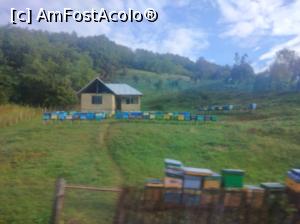 [P25] La marginea pădurii, Buzău » foto by Mioritik
 - 
<span class="allrVoted glyphicon glyphicon-heart hidden" id="av1305962"></span>
<a class="m-l-10 hidden" id="sv1305962" onclick="voting_Foto_DelVot(,1305962,14170)" role="button">șterge vot <span class="glyphicon glyphicon-remove"></span></a>
<a id="v91305962" class=" c-red"  onclick="voting_Foto_SetVot(1305962)" role="button"><span class="glyphicon glyphicon-heart-empty"></span> <b>LIKE</b> = Votează poza</a> <img class="hidden"  id="f1305962W9" src="/imagini/loader.gif" border="0" /><span class="AjErrMes hidden" id="e1305962ErM"></span>
