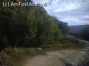 [P30] La marginea pădurii, Buzău » foto by Mioritik
 - 
<span class="allrVoted glyphicon glyphicon-heart hidden" id="av1305967"></span>
<a class="m-l-10 hidden" id="sv1305967" onclick="voting_Foto_DelVot(,1305967,14170)" role="button">șterge vot <span class="glyphicon glyphicon-remove"></span></a>
<a id="v91305967" class=" c-red"  onclick="voting_Foto_SetVot(1305967)" role="button"><span class="glyphicon glyphicon-heart-empty"></span> <b>LIKE</b> = Votează poza</a> <img class="hidden"  id="f1305967W9" src="/imagini/loader.gif" border="0" /><span class="AjErrMes hidden" id="e1305967ErM"></span>