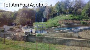 [P04] La marginea pădurii, Buzău » foto by Mioritik
 - 
<span class="allrVoted glyphicon glyphicon-heart hidden" id="av1305920"></span>
<a class="m-l-10 hidden" id="sv1305920" onclick="voting_Foto_DelVot(,1305920,14170)" role="button">șterge vot <span class="glyphicon glyphicon-remove"></span></a>
<a id="v91305920" class=" c-red"  onclick="voting_Foto_SetVot(1305920)" role="button"><span class="glyphicon glyphicon-heart-empty"></span> <b>LIKE</b> = Votează poza</a> <img class="hidden"  id="f1305920W9" src="/imagini/loader.gif" border="0" /><span class="AjErrMes hidden" id="e1305920ErM"></span>
