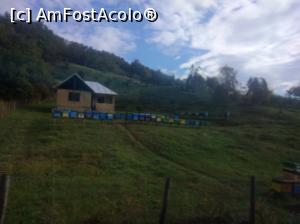 [P09] La marginea pădurii, Buzău, stupi » foto by Mioritik
 - 
<span class="allrVoted glyphicon glyphicon-heart hidden" id="av1305925"></span>
<a class="m-l-10 hidden" id="sv1305925" onclick="voting_Foto_DelVot(,1305925,14170)" role="button">șterge vot <span class="glyphicon glyphicon-remove"></span></a>
<a id="v91305925" class=" c-red"  onclick="voting_Foto_SetVot(1305925)" role="button"><span class="glyphicon glyphicon-heart-empty"></span> <b>LIKE</b> = Votează poza</a> <img class="hidden"  id="f1305925W9" src="/imagini/loader.gif" border="0" /><span class="AjErrMes hidden" id="e1305925ErM"></span>