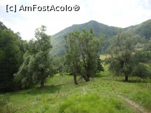 [P18] Am continuat circuitul nostru și am pornit pe poteca din imagine spre Bisericuța lui Iosif. Din acest punct priveam înapoi (poteca urcă prin partea stângă a poienii).  » foto by Floryn81
 - 
<span class="allrVoted glyphicon glyphicon-heart hidden" id="av939622"></span>
<a class="m-l-10 hidden" id="sv939622" onclick="voting_Foto_DelVot(,939622,14170)" role="button">șterge vot <span class="glyphicon glyphicon-remove"></span></a>
<a id="v9939622" class=" c-red"  onclick="voting_Foto_SetVot(939622)" role="button"><span class="glyphicon glyphicon-heart-empty"></span> <b>LIKE</b> = Votează poza</a> <img class="hidden"  id="f939622W9" src="/imagini/loader.gif" border="0" /><span class="AjErrMes hidden" id="e939622ErM"></span>