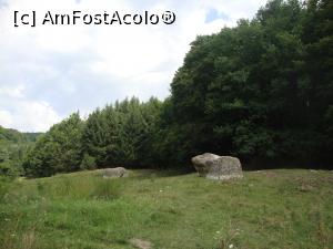 [P20] La un moment dat, poteca a intrat în pădure.  » foto by Floryn81
 - 
<span class="allrVoted glyphicon glyphicon-heart hidden" id="av939627"></span>
<a class="m-l-10 hidden" id="sv939627" onclick="voting_Foto_DelVot(,939627,14170)" role="button">șterge vot <span class="glyphicon glyphicon-remove"></span></a>
<a id="v9939627" class=" c-red"  onclick="voting_Foto_SetVot(939627)" role="button"><span class="glyphicon glyphicon-heart-empty"></span> <b>LIKE</b> = Votează poza</a> <img class="hidden"  id="f939627W9" src="/imagini/loader.gif" border="0" /><span class="AjErrMes hidden" id="e939627ErM"></span>