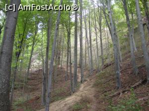 [P22] Poteca urca tot mai susținut către peretele de stâncă unde a fost săpată Bisericuța lui Iosif.  » foto by Floryn81
 - 
<span class="allrVoted glyphicon glyphicon-heart hidden" id="av939630"></span>
<a class="m-l-10 hidden" id="sv939630" onclick="voting_Foto_DelVot(,939630,14170)" role="button">șterge vot <span class="glyphicon glyphicon-remove"></span></a>
<a id="v9939630" class=" c-red"  onclick="voting_Foto_SetVot(939630)" role="button"><span class="glyphicon glyphicon-heart-empty"></span> <b>LIKE</b> = Votează poza</a> <img class="hidden"  id="f939630W9" src="/imagini/loader.gif" border="0" /><span class="AjErrMes hidden" id="e939630ErM"></span>