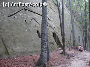 [P28] În timp ce partenerii mei de drumeție s-au odihnit puțin, eu am explorat împrejurimile.  » foto by Floryn81
 - 
<span class="allrVoted glyphicon glyphicon-heart hidden" id="av939641"></span>
<a class="m-l-10 hidden" id="sv939641" onclick="voting_Foto_DelVot(,939641,14170)" role="button">șterge vot <span class="glyphicon glyphicon-remove"></span></a>
<a id="v9939641" class=" c-red"  onclick="voting_Foto_SetVot(939641)" role="button"><span class="glyphicon glyphicon-heart-empty"></span> <b>LIKE</b> = Votează poza</a> <img class="hidden"  id="f939641W9" src="/imagini/loader.gif" border="0" /><span class="AjErrMes hidden" id="e939641ErM"></span>
